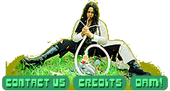 contact us | credits | dam!